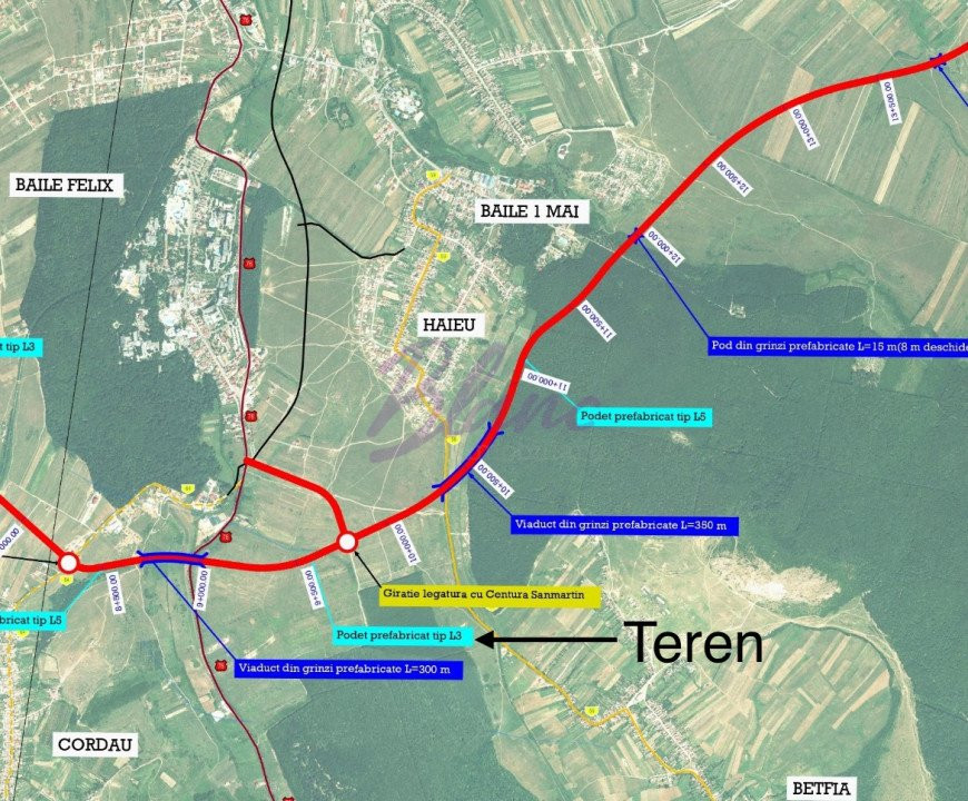 Teren investitional, posibilitate de parcelare, intre Haieu si Betfia, la drum